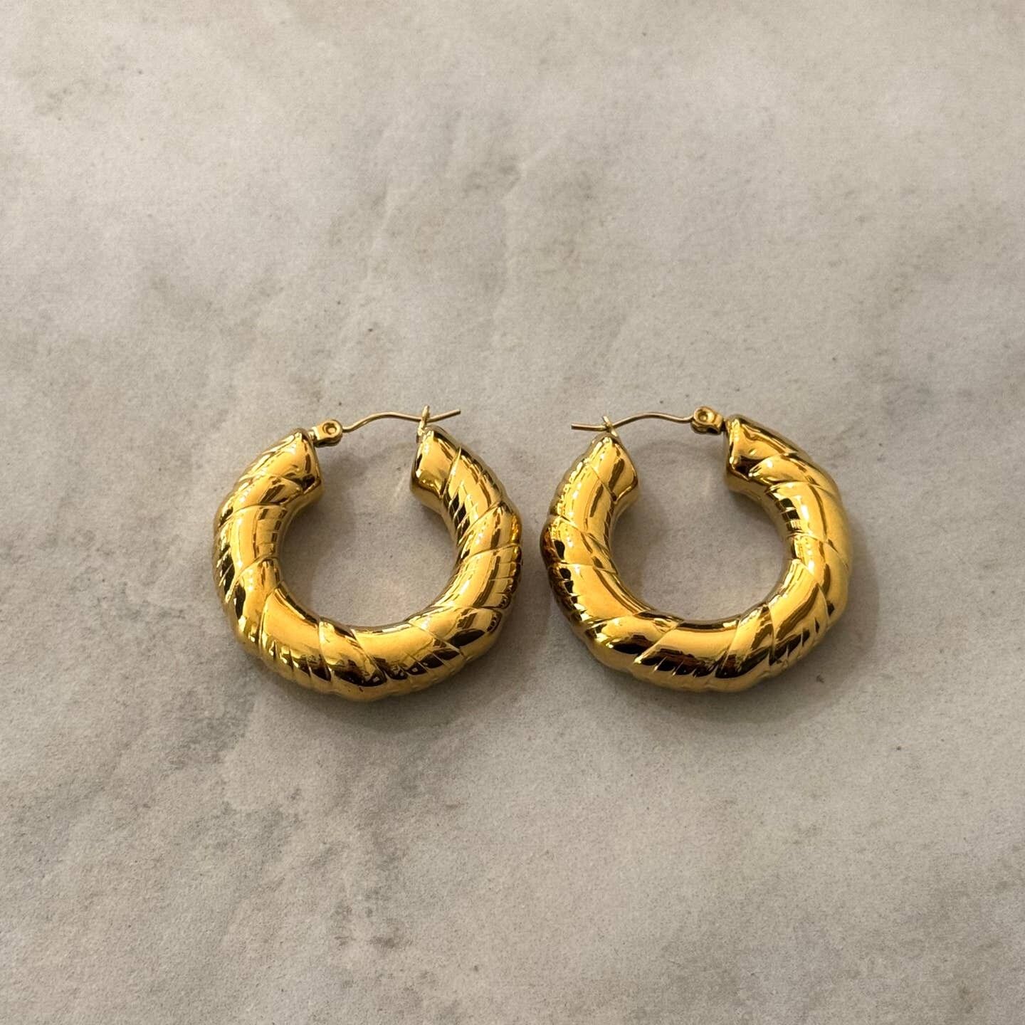 Nao Stainless Steel Hoop Earrings