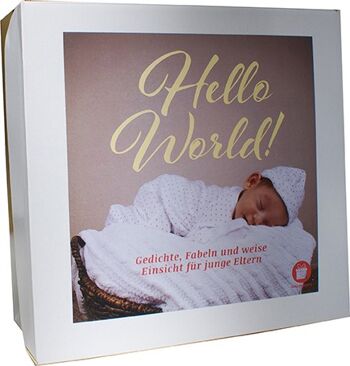 "Hello World" la box bébé 2