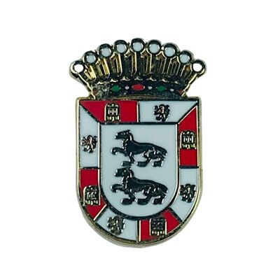 Pin - Escudo Cuadrilla de Ayala - Alava - España