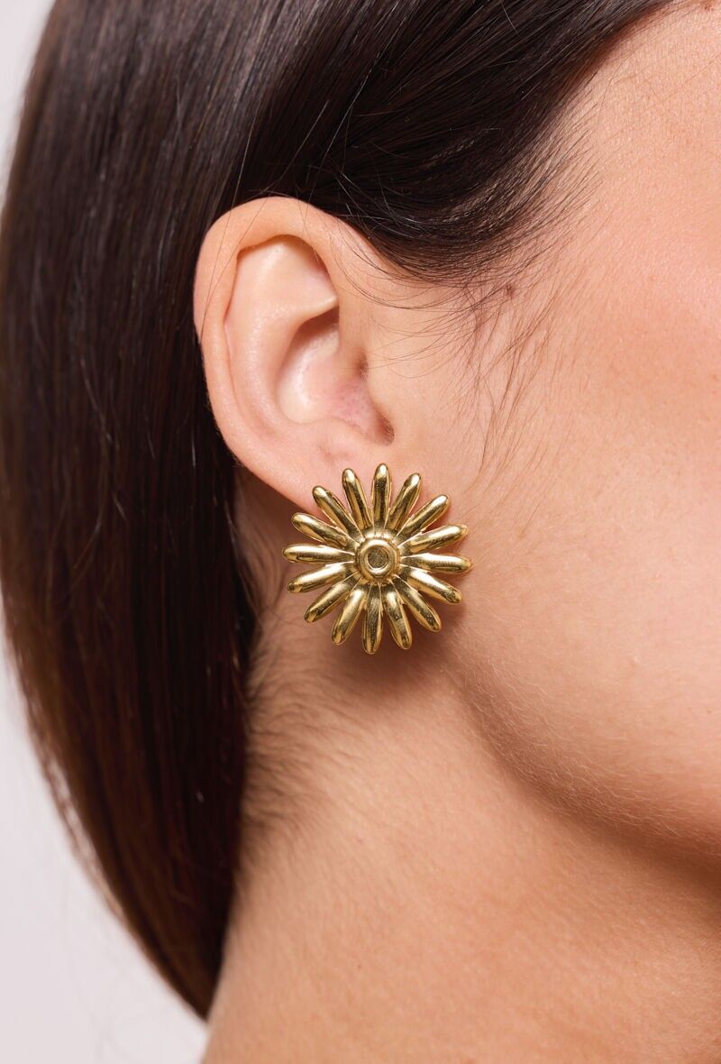 Orecchini in acciaio inossidabile 124RX127