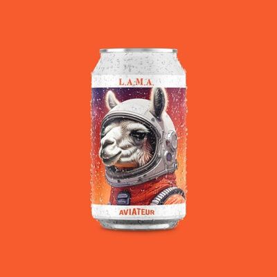 LAMA - Maté pétillant 33 cl - 0% - Boisson sans alcool