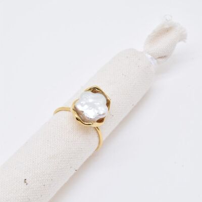 Anillo de concha de acero inoxidable - BG310204OR