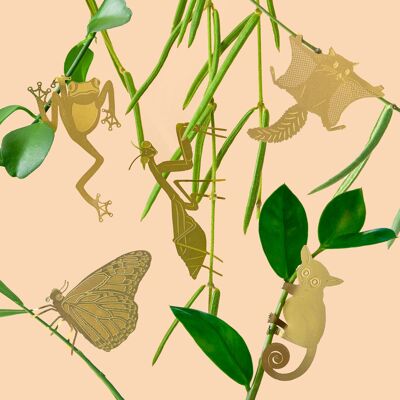 The Fab Five Plant Animal set