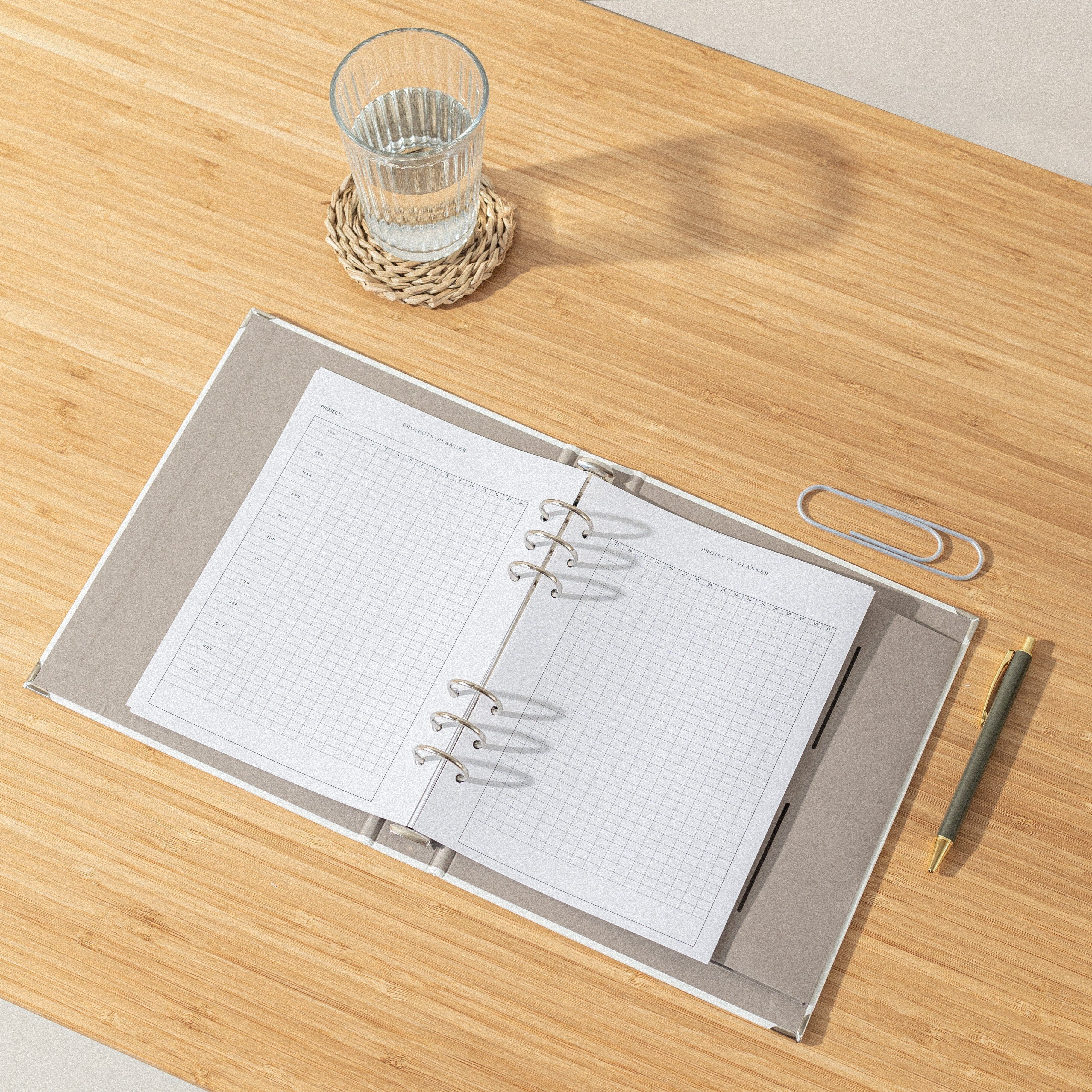 Planificador de Proyectos · Recambio agenda anillas