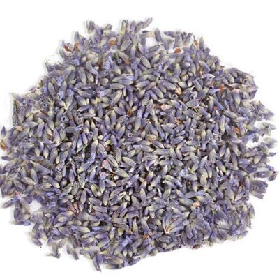 Capullos de lavanda, flores secas