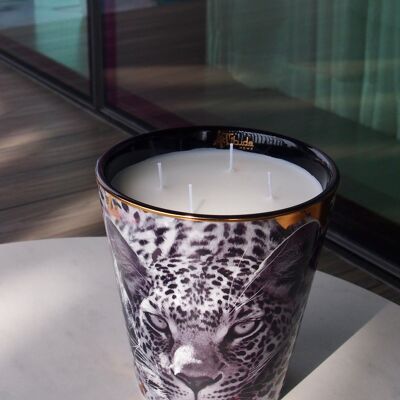 SAVANNAH NIGHTS β Luxury Candle 1300g | Grasse fragrance: Sandalwood