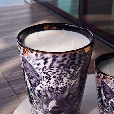 SAVANNAH NIGHTS – Bougie de Luxe 3200g | Parfum de Grasse: Bois de Santal