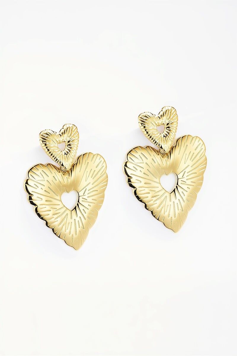 Orecchini in acciaio inossidabile 124CA30