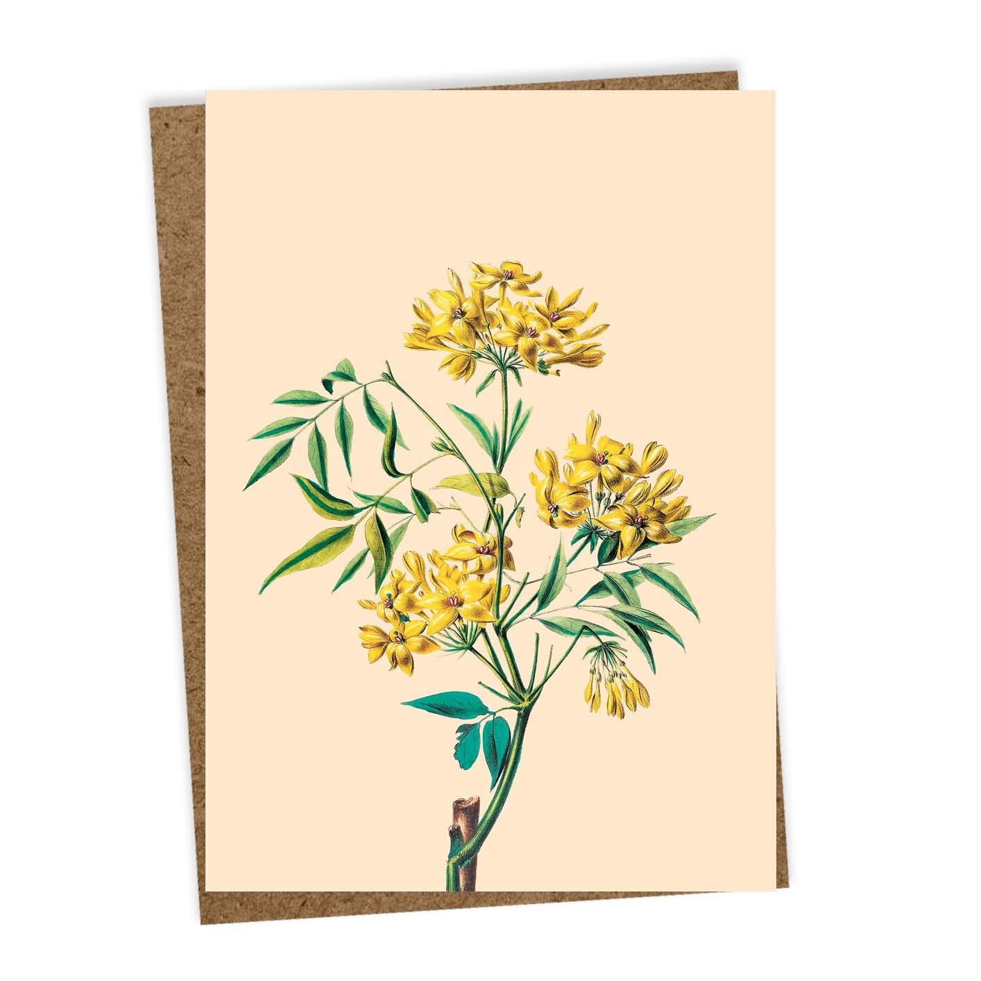 Suono del biglietto di auguri