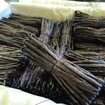 25 baccelli di vaniglia del Madagascar da 16-18 cm di prima qualità