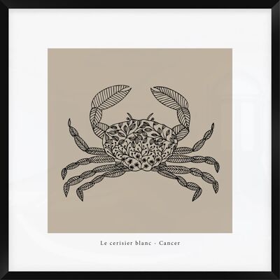 Cadre Astro "Cancer"