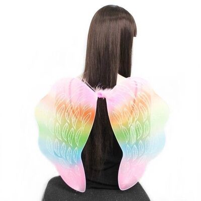 Ailes d'ange arc-en-ciel.54X47cm