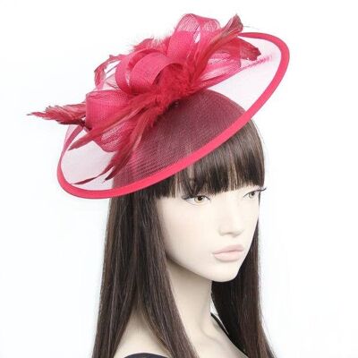 Style Doris.Bibi en filet et plumes rouge rubis