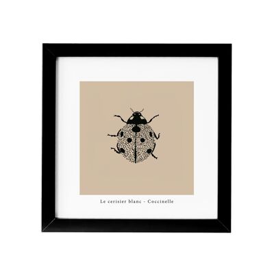 "Ladybug" frame
