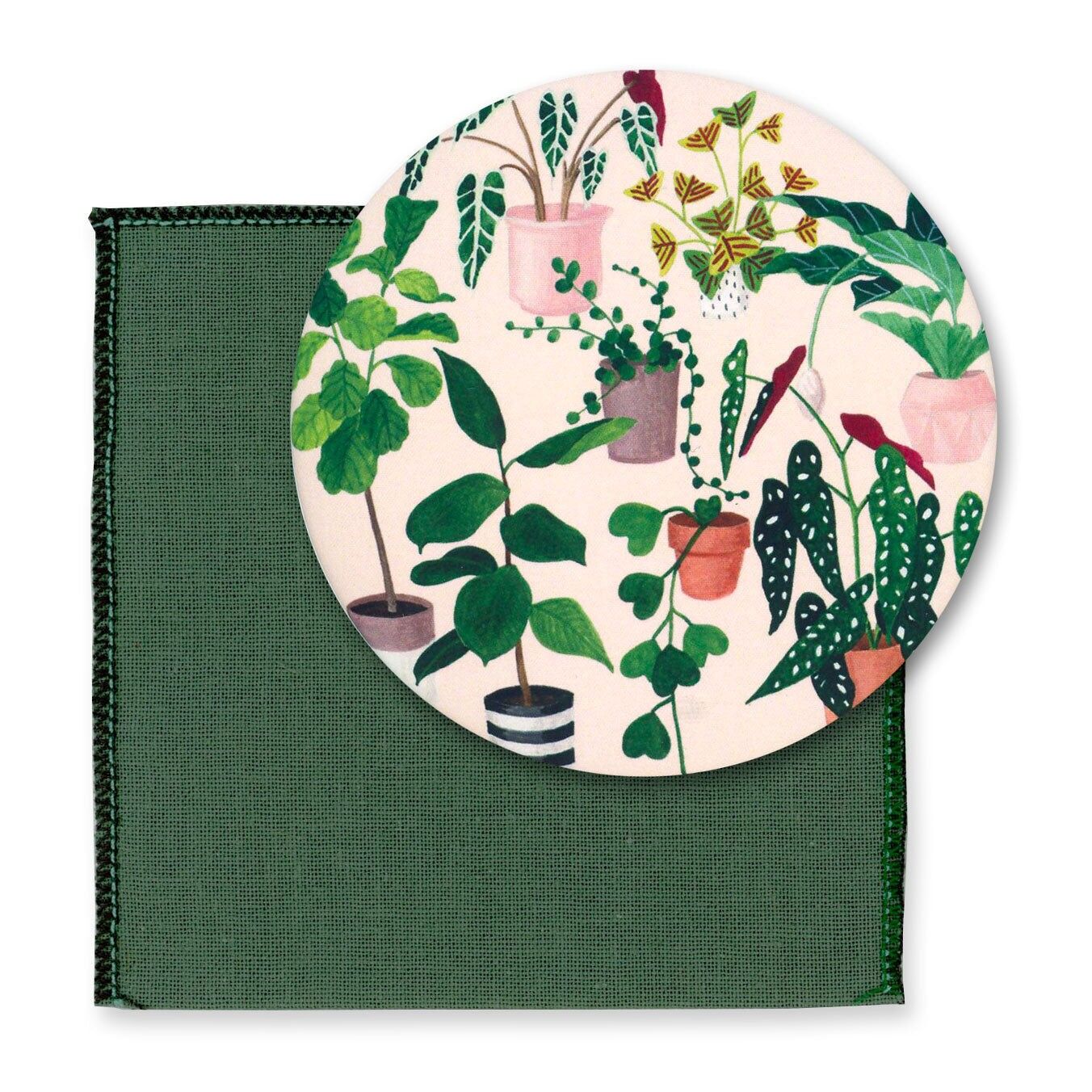 Taschenspiegel Zimmerpflanzen