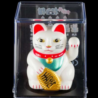 CUBO BIANCO SOLARE GATTO FORTUNATO