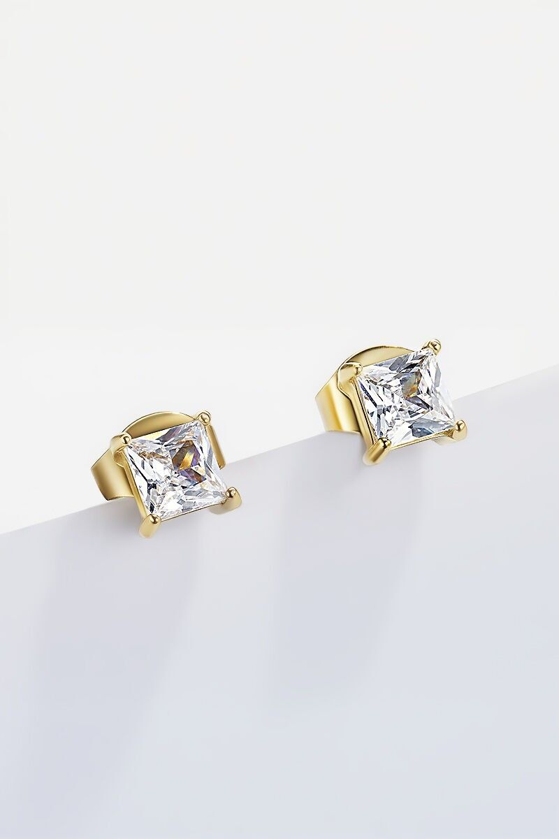 Orecchini in acciaio inossidabile 124RX149