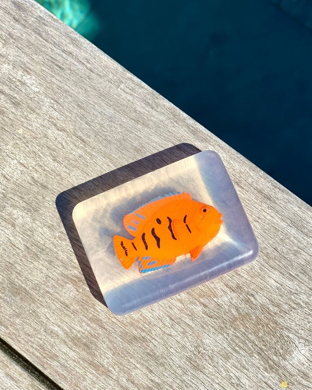 Savon Poisson Soap Hit