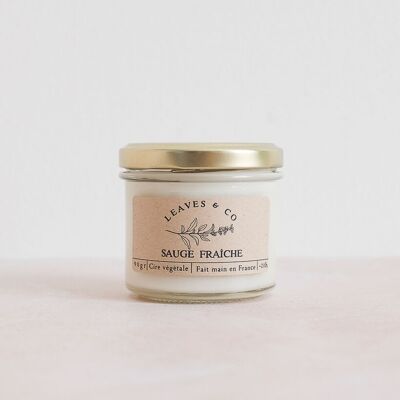 Vela perfumada de temporada en tarro - Salvia fresca
