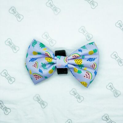 Cutie Fruity Bow Tie