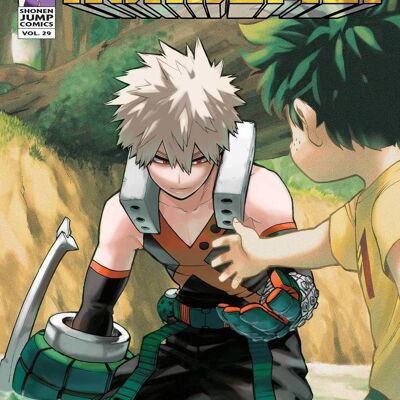 Viz Media - Manga - Comics en inglés - Libro My Hero Academia, Vol.29