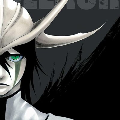 Viz Media - Manga - English Comics - Book Bleach (3-In-1 Edition), Vol. 14 : Includes Vols. 40, 41 & 42
