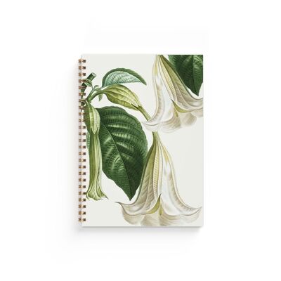 Cuaderno A5 Trompeta de Ángel