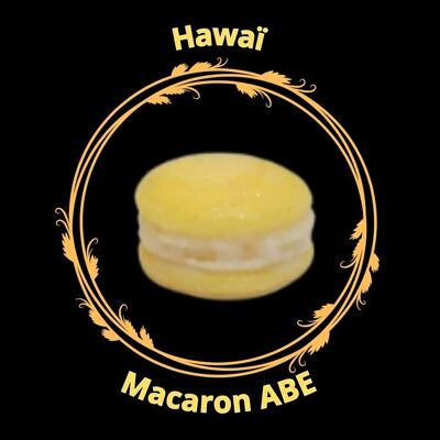 Fondente per macaron hawaiano