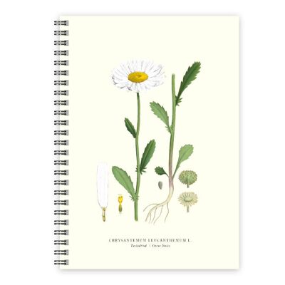 Quaderno Daisy A5