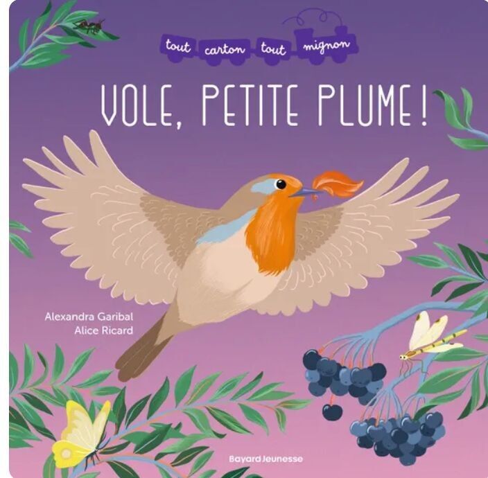 CHILDREN'S BOOK FLYING FEATHER