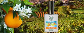 Jardin d'agrumes de Provence - 50 ml 4