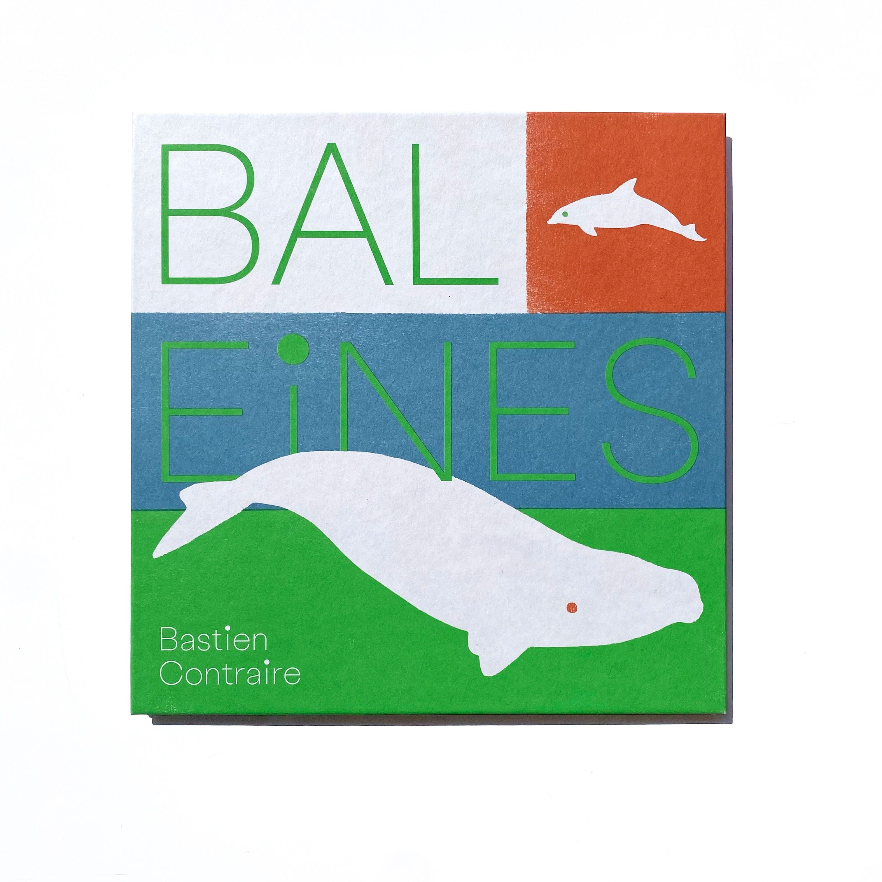 Whales / Documentary / Cetaceans / Ocean / Nature