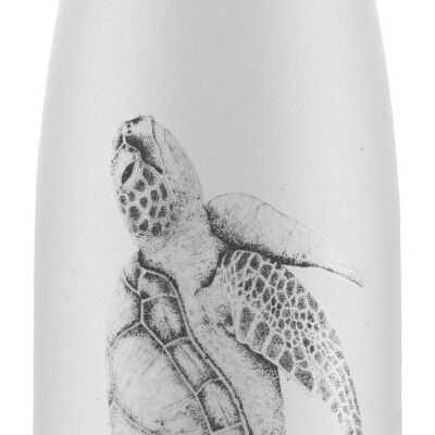 Botella de agua 500ml Sea Life New Turtle