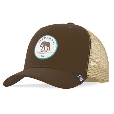 Camion elefante marrone