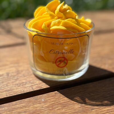 150ml Citronella Candle