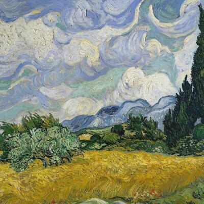 Póster van Gogh - Campo de trigo con cipreses