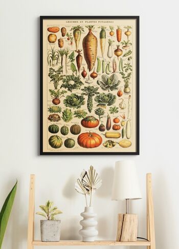 Affiche Légumes Vintage 2