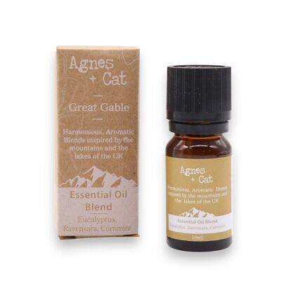 Aceites Esenciales - Eucalipto, Ravensara y Menta de Campo