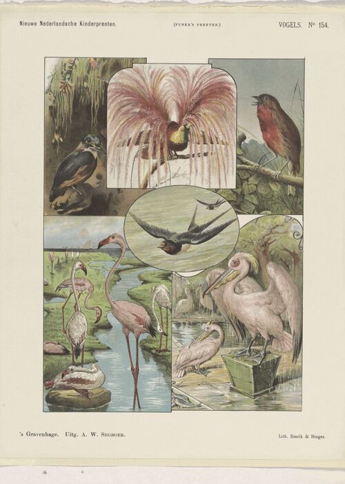 Poster Kinderprenten - Vintage Vogels