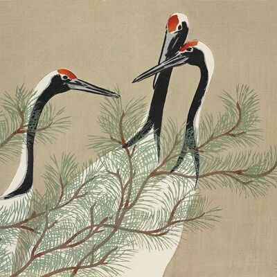 Poster Kamisaka Sekka - Cranes of Momoyogusa