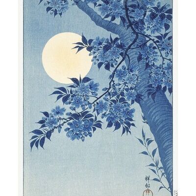 Poster Ohara Koson - Blossoming Cherry Tree