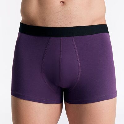 2121-117 | Short de bain pour homme - Raisin