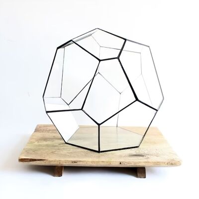 Terrarium géométrique - Cosmo - Vivarium - ↑ 31 x 29 x 29 cm (L x l x H) - Verre
