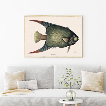 Affiche Big Fish - Animaux 2