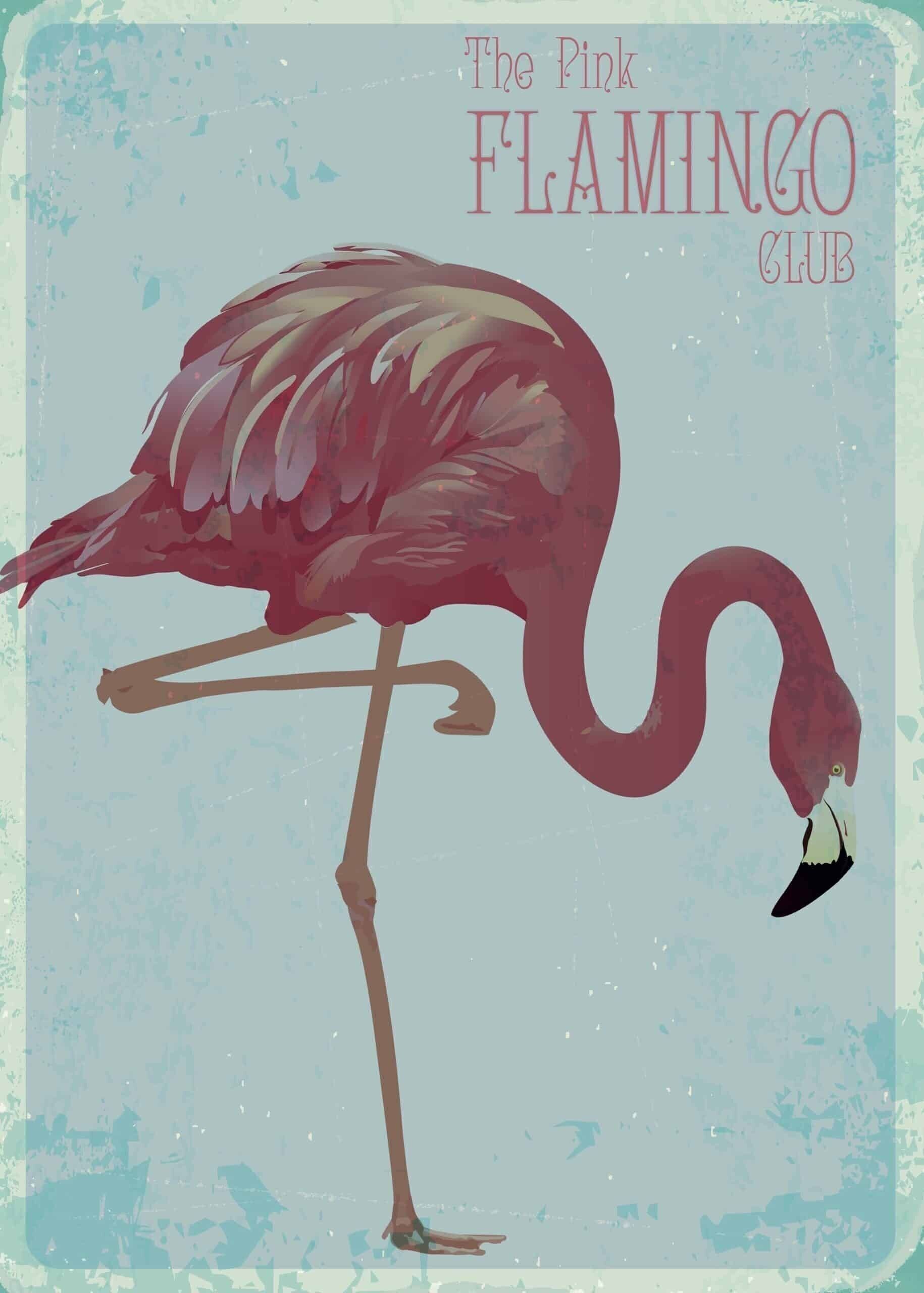 Poster Vintage Flamingo