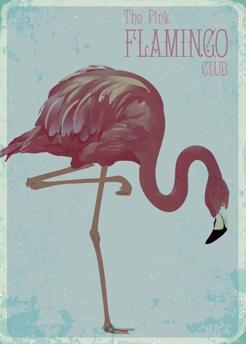 Poster Vintage Flamingo