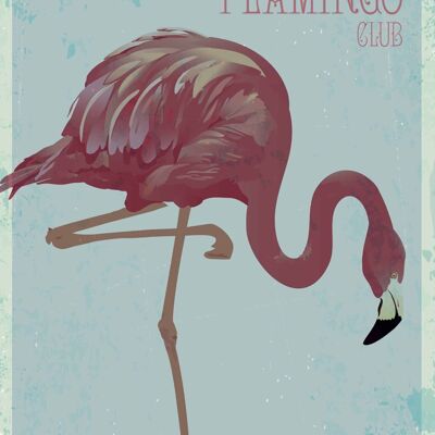 Poster Vintage Flamingo