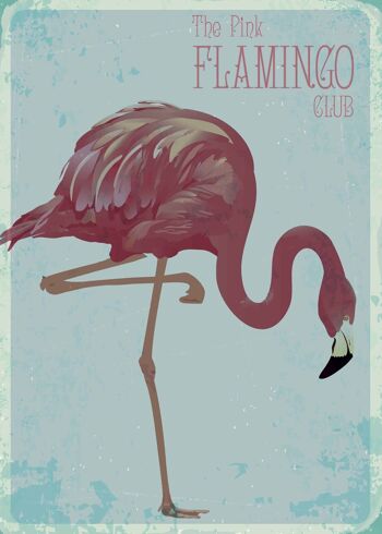 Affiche Flamingo Vintage 1