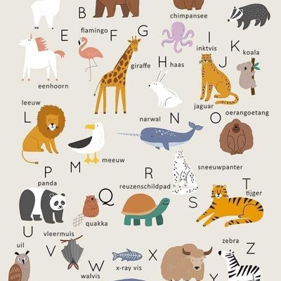 Poster Animal Alphabet - Educational