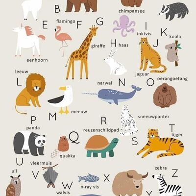 Poster Dierenalfabet - Educatief